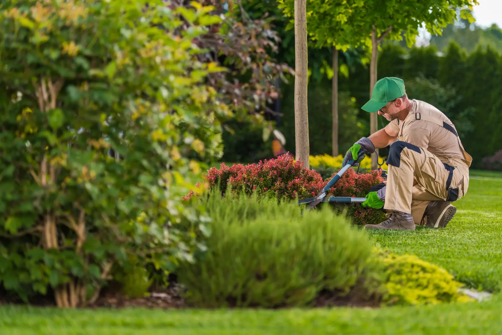 Un jardin entretenu par un professionnel du paysage